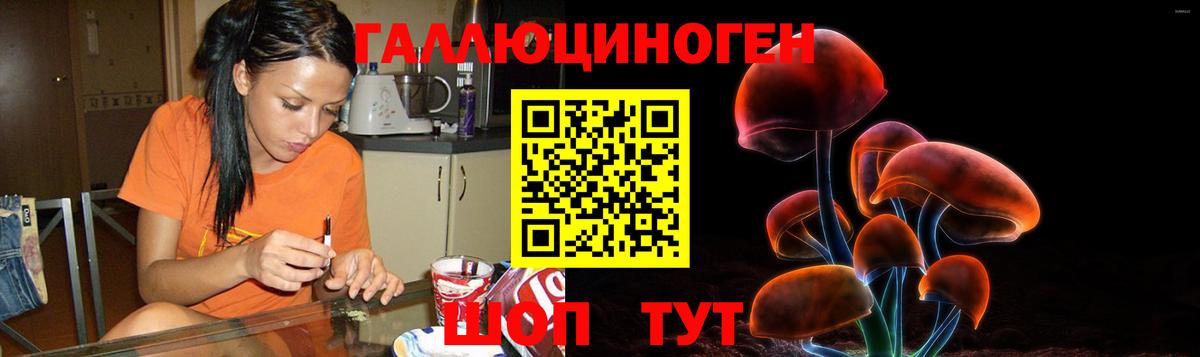Псилоцибиновые грибы Magic Shrooms  Вход с VPN  Сердобск 
